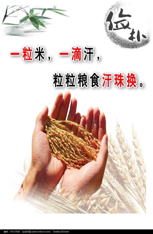 大学毕业拿什么学位证